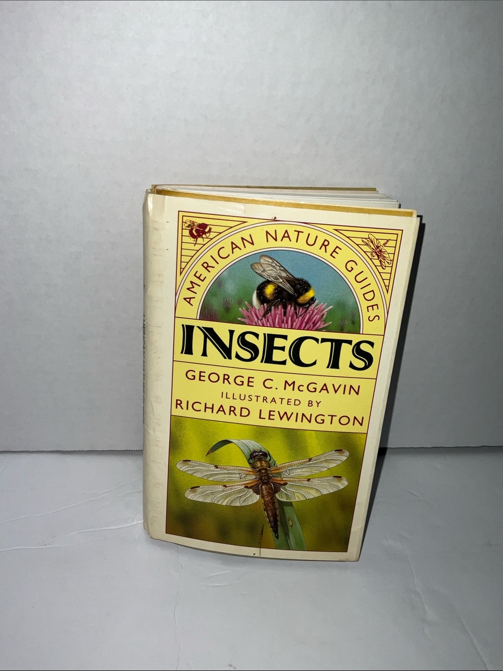 Insects American Nature Guides Book